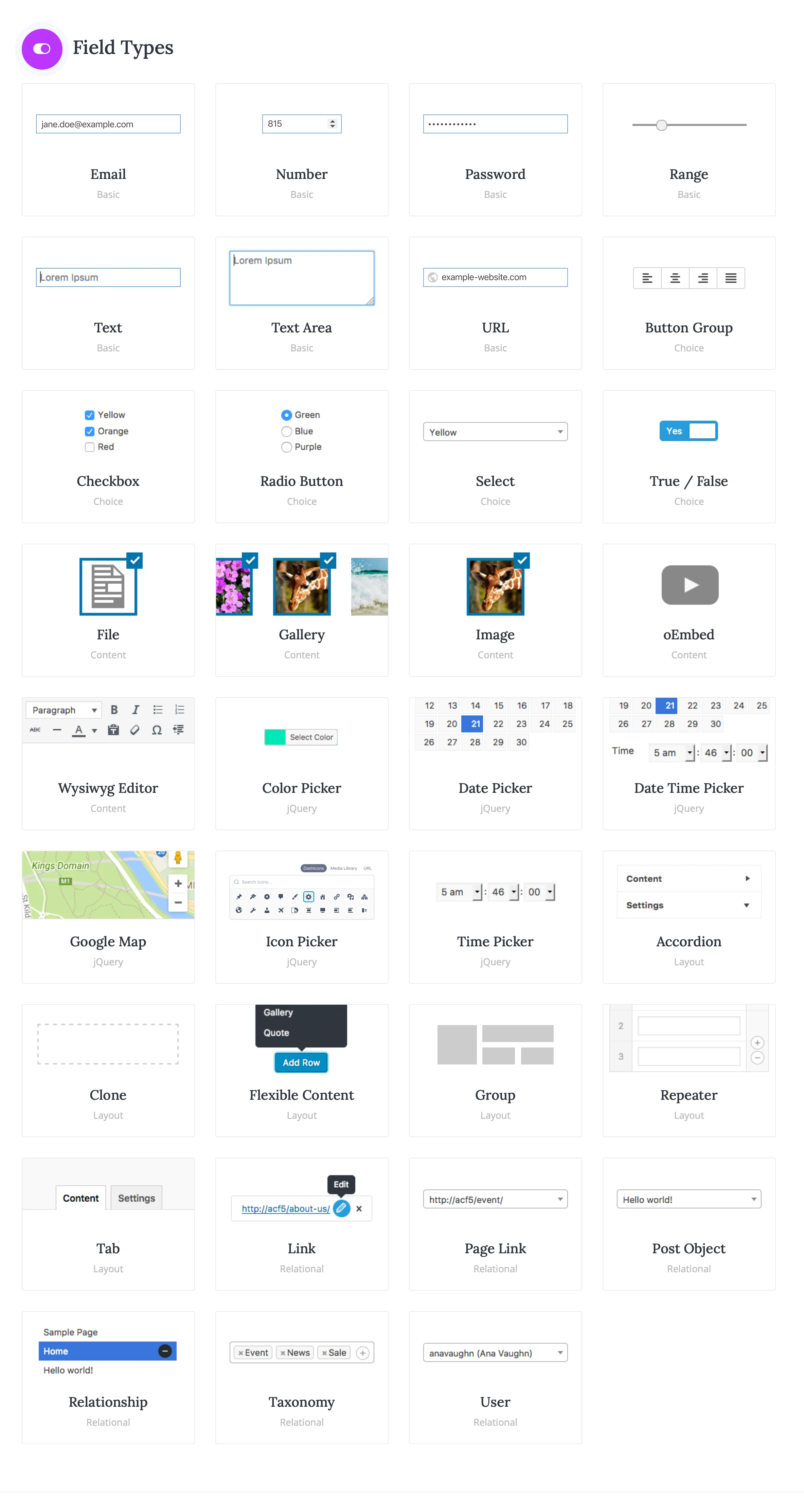 (ACF) Advanced Custom Fields Pro