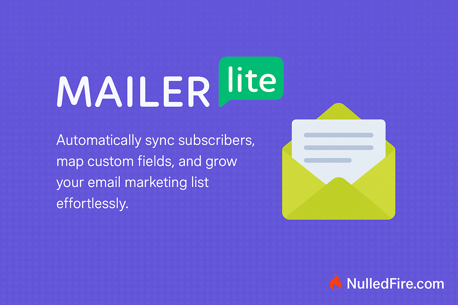 Everest Forms - MailerLite.png